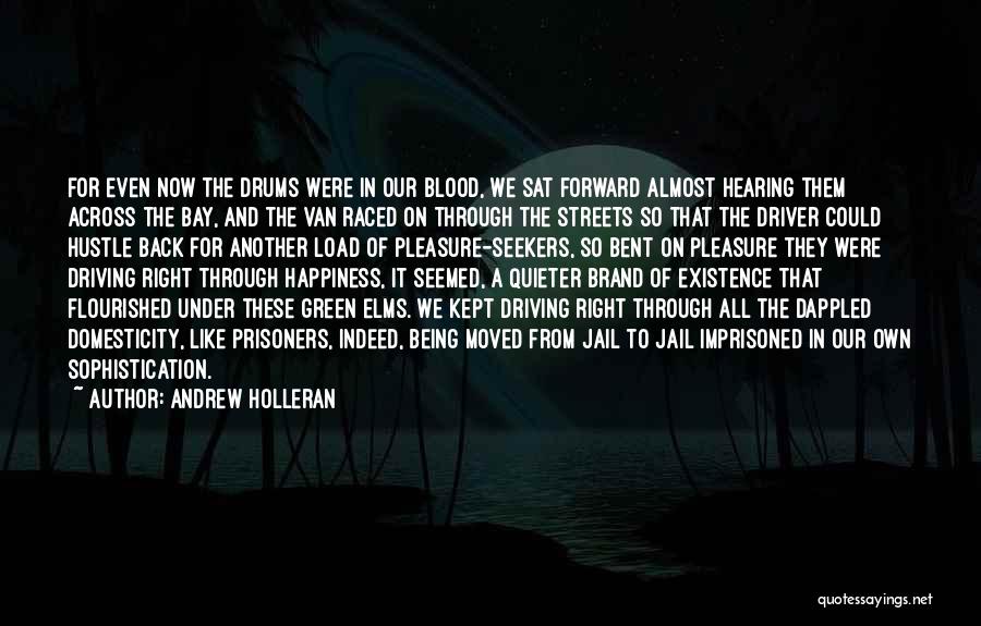 Driving Forward Quotes By Andrew Holleran