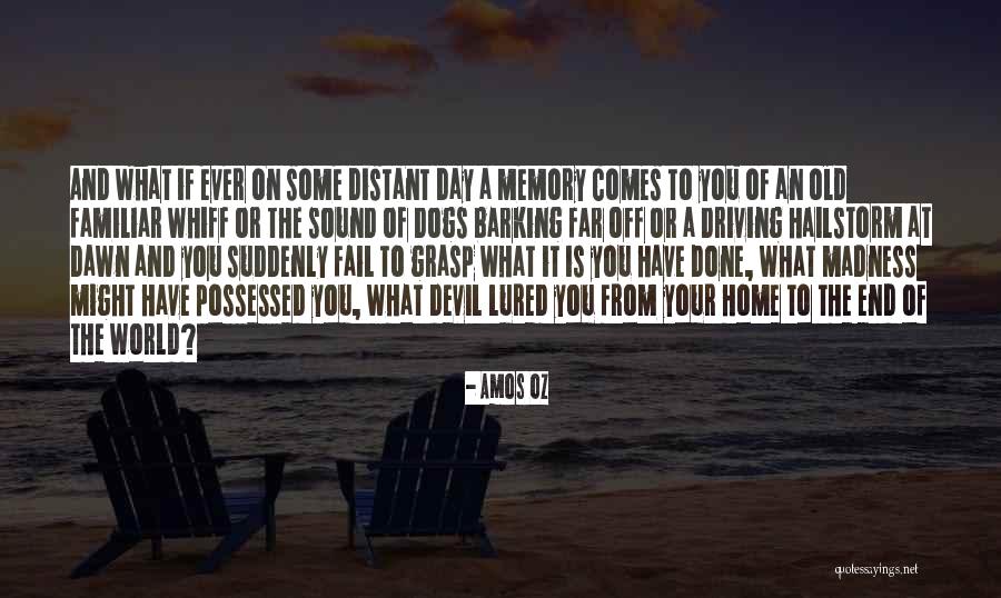 Driving Home Quotes By Amos Oz Driving Home Quotes By Amos Oz