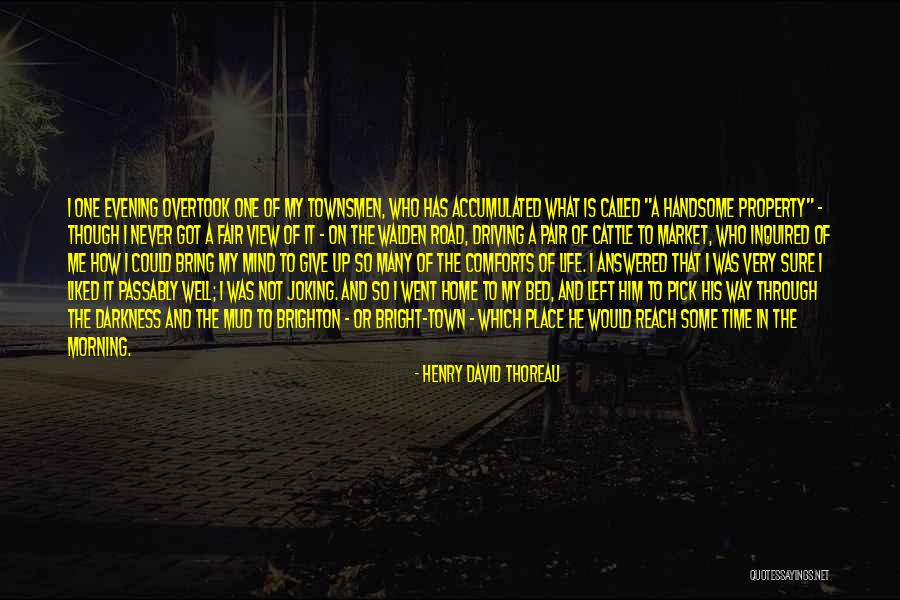 Driving Home Quotes By Henry David Thoreau Driving Home Quotes By Henry David Thoreau