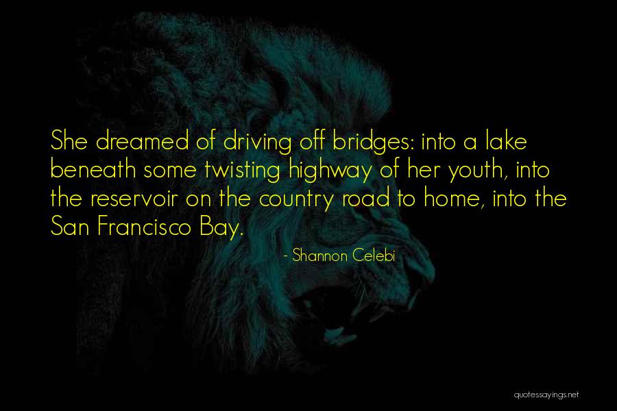 Driving Home Quotes By Shannon Celebi Driving Home Quotes By Shannon Celebi