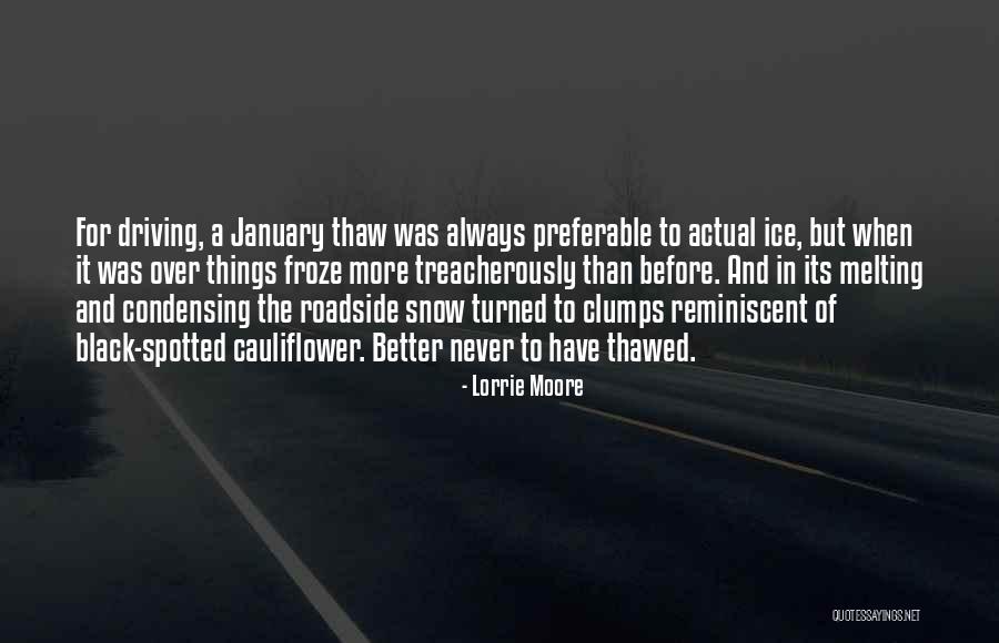Driving In Snow Quotes By Lorrie Moore Driving In Snow Quotes By Lorrie Moore