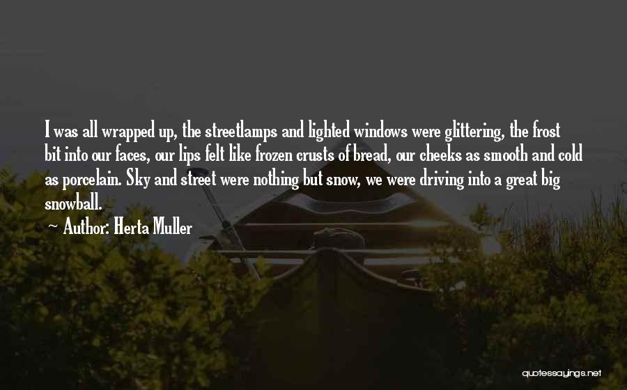 Driving In The Snow Quotes By Herta Muller