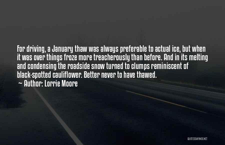 Driving In The Snow Quotes By Lorrie Moore