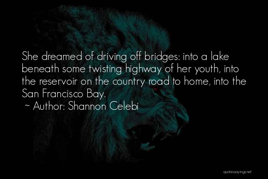 Driving Lessons Quotes By Shannon Celebi