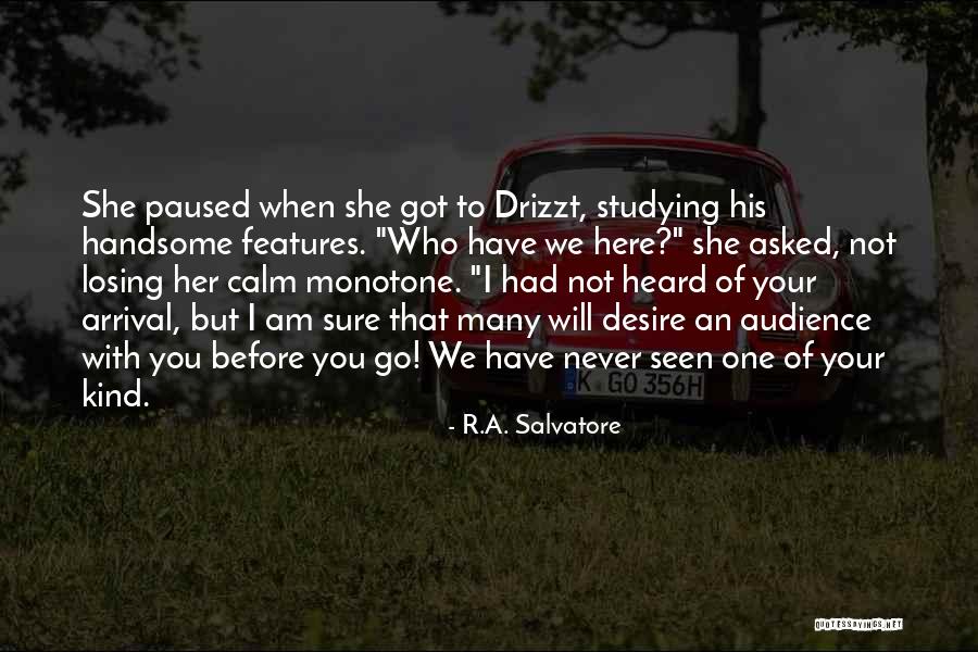 Drizzt Quotes By R.A. Salvatore Drizzt Quotes By R.A. Salvatore