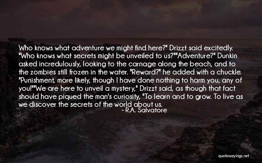Drizzt Quotes By R.A. Salvatore Drizzt Quotes By R.A. Salvatore
