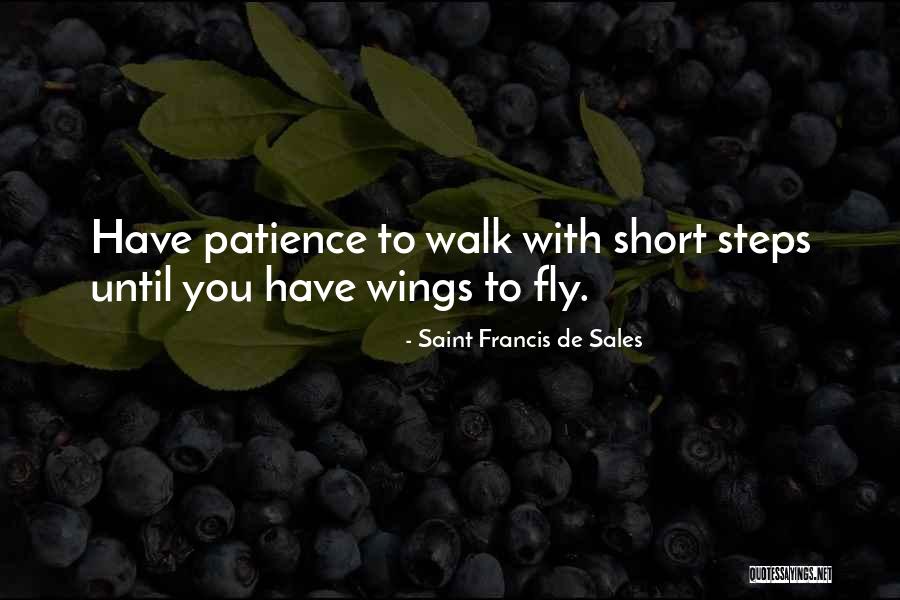 Drizzts Sisters Quotes By Saint Francis De Sales Drizzts Sisters Quotes By Saint Francis De Sales