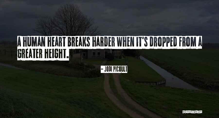 Droddum Quotes By Jodi Picoult Droddum Quotes By Jodi Picoult