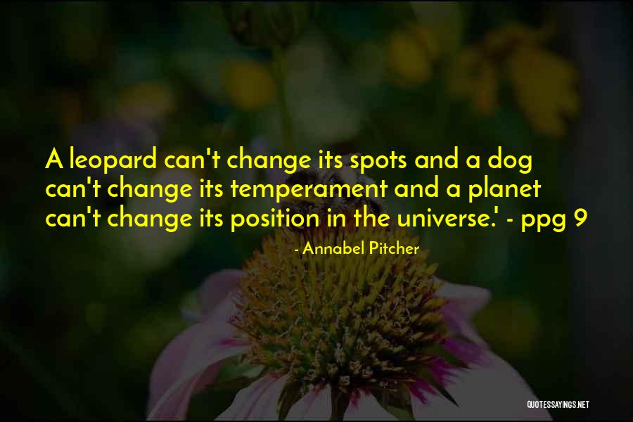 Drohndorf Quotes By Annabel Pitcher Drohndorf Quotes By Annabel Pitcher