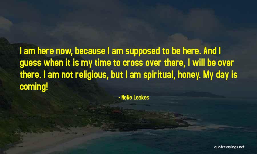 Dromgoole John Quotes By NeNe Leakes Dromgoole John Quotes By NeNe Leakes