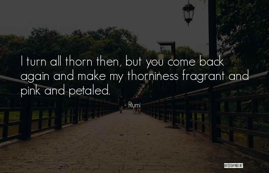 Dromonds Quotes By Rumi Dromonds Quotes By Rumi