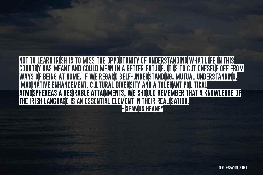 Dromone Ireland Quotes By Seamus Heaney Dromone Ireland Quotes By Seamus Heaney