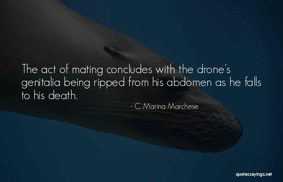 Drone Quotes By C. Marina Marchese