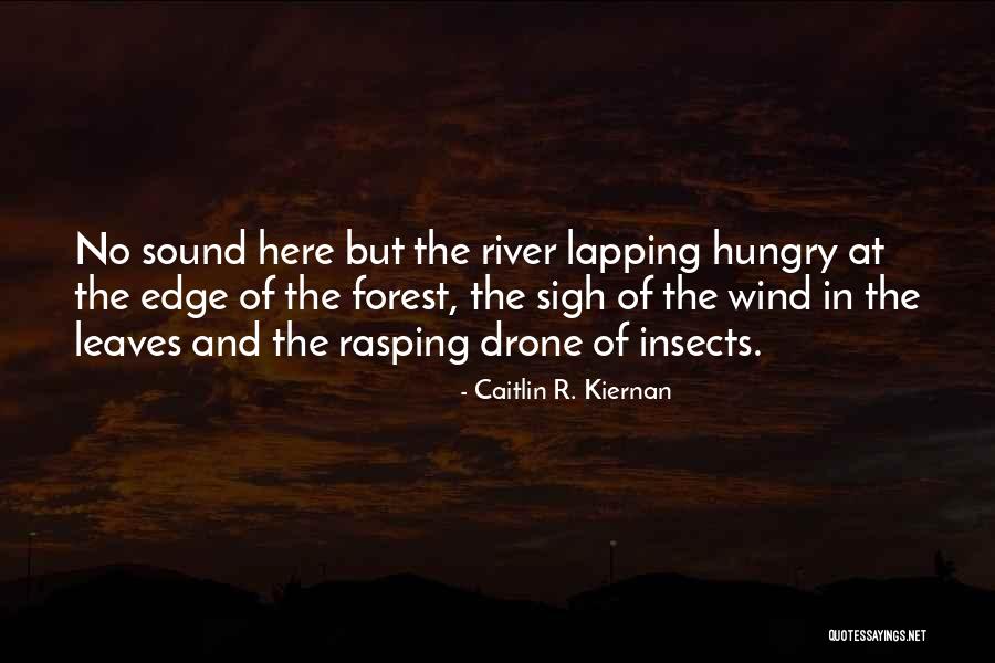 Drone Quotes By Caitlin R. Kiernan