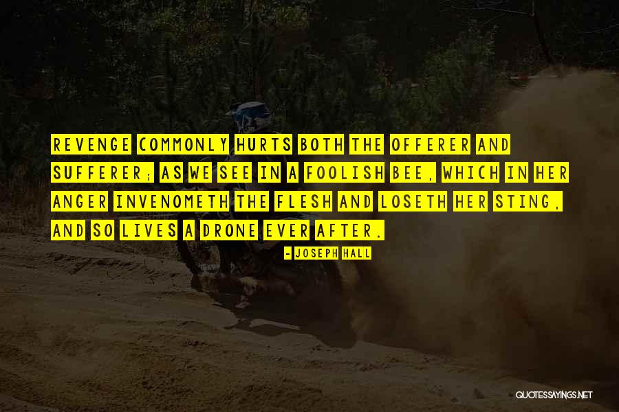 Drone Quotes By Joseph Hall