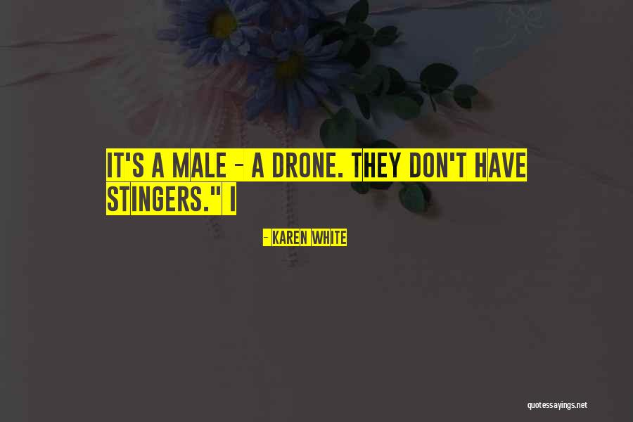 Drone Quotes By Karen White