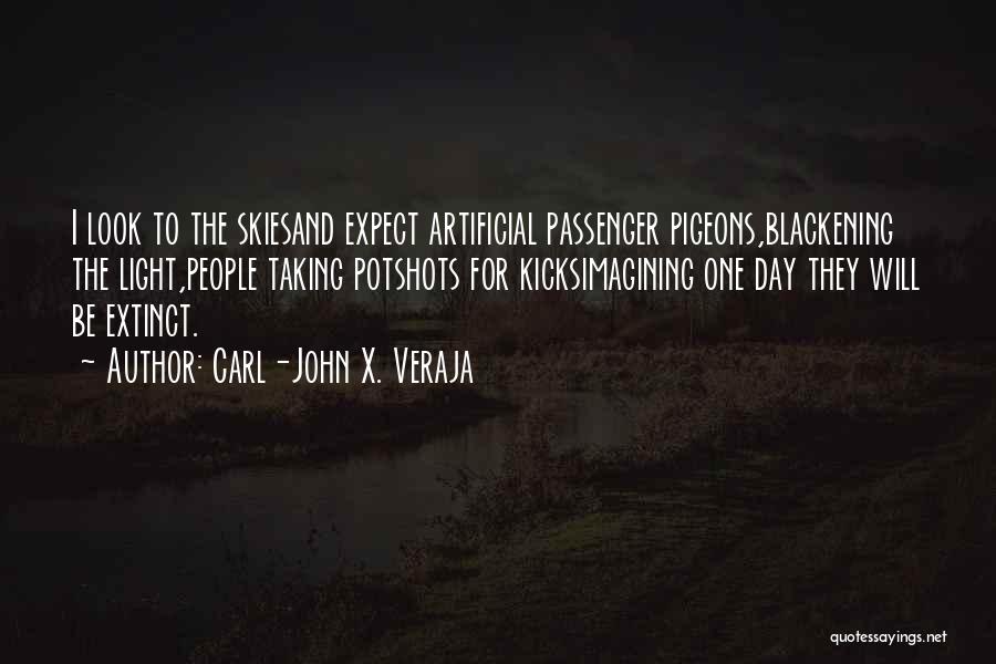 Drones Quotes By Carl-John X. Veraja