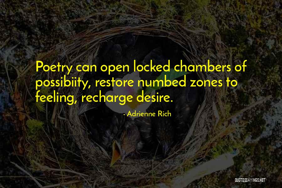 Dronethusiast Quotes By Adrienne Rich Dronethusiast Quotes By Adrienne Rich