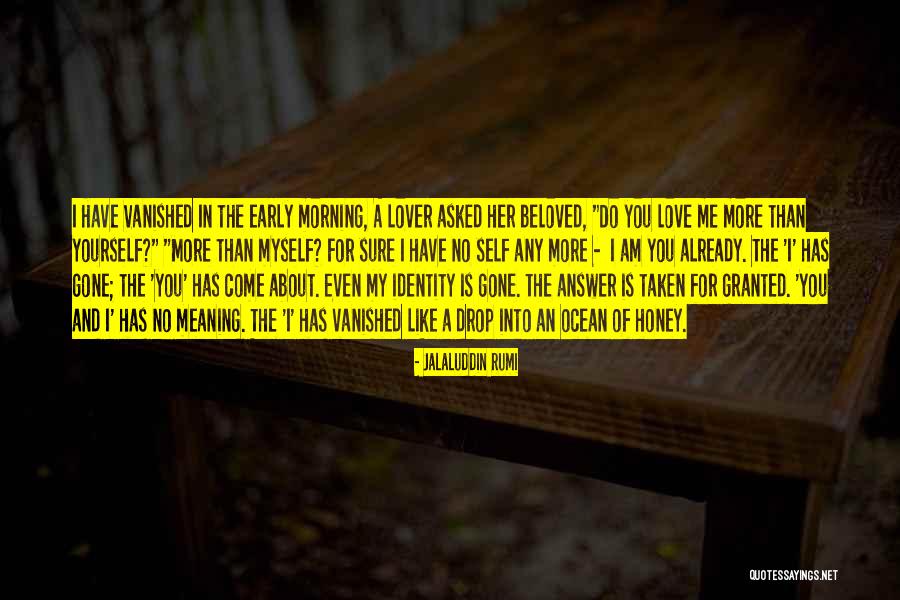 Drop And Ocean Quotes By Jalaluddin Rumi Drop And Ocean Quotes By Jalaluddin Rumi