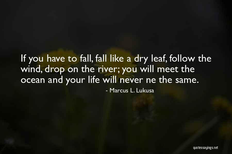Drop And Ocean Quotes By Marcus L. Lukusa Drop And Ocean Quotes By Marcus L. Lukusa