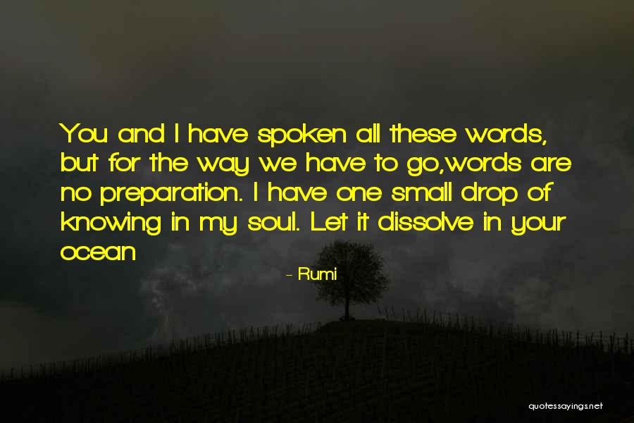 Drop And Ocean Quotes By Rumi Drop And Ocean Quotes By Rumi