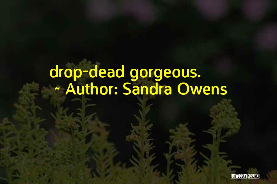 Drop Dead Gorgeous Quotes By Sandra Owens