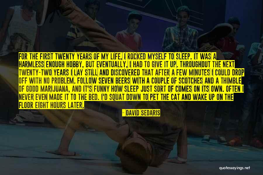 Drop Off Quotes By David Sedaris Drop Off Quotes By David Sedaris