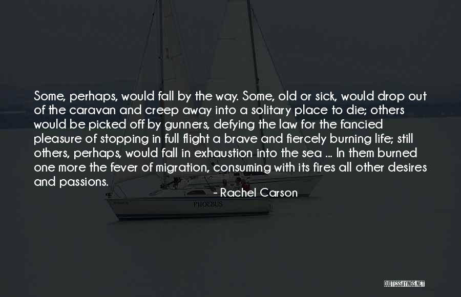 Drop Off Quotes By Rachel Carson Drop Off Quotes By Rachel Carson