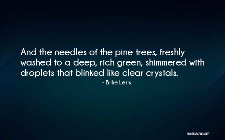 Droplets Quotes By Billie Letts