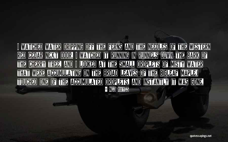 Droplets Quotes By Ned Hayes Droplets Quotes By Ned Hayes