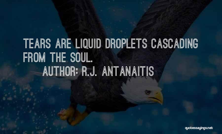 Droplets Quotes By R.J. Antanaitis