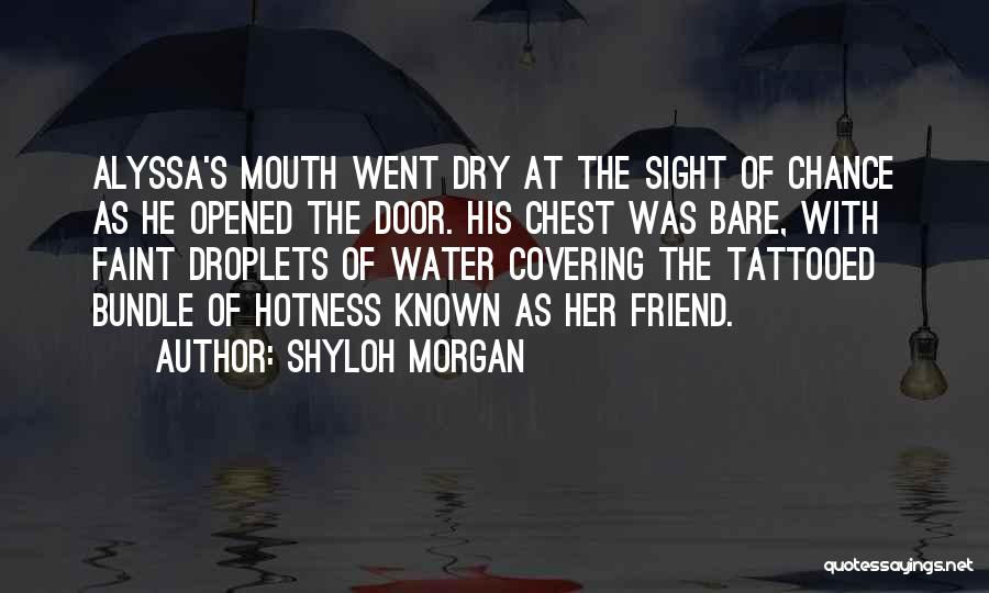 Droplets Quotes By Shyloh Morgan