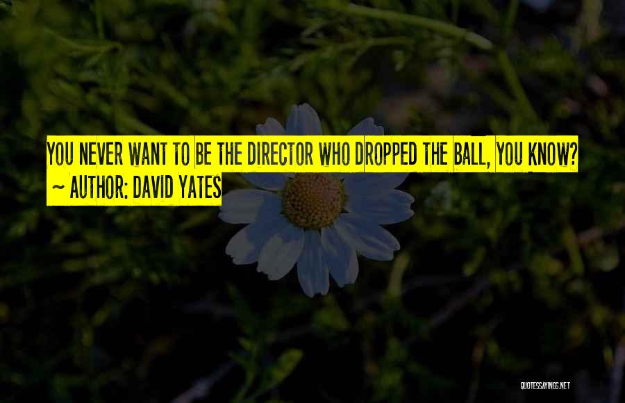 Dropped The Ball Quotes By David Yates