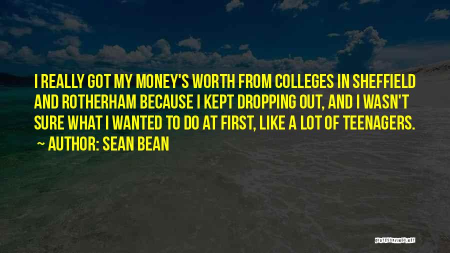 Dropping Out Quotes By Sean Bean