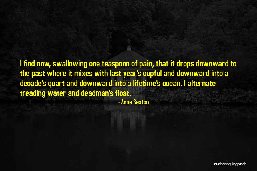 Drops In The Ocean Quotes By Anne Sexton Drops In The Ocean Quotes By Anne Sexton