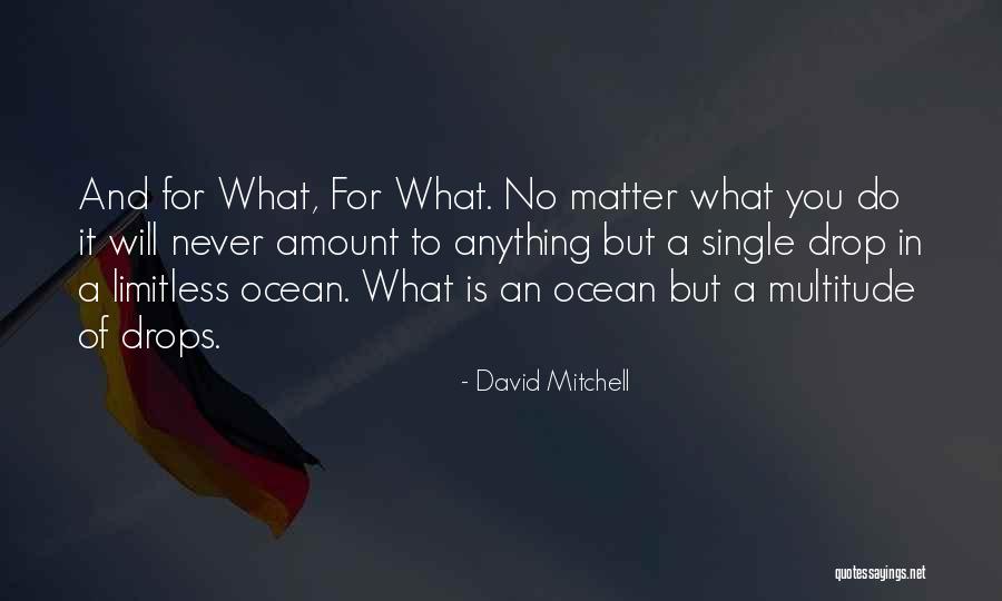 Drops In The Ocean Quotes By David Mitchell Drops In The Ocean Quotes By David Mitchell