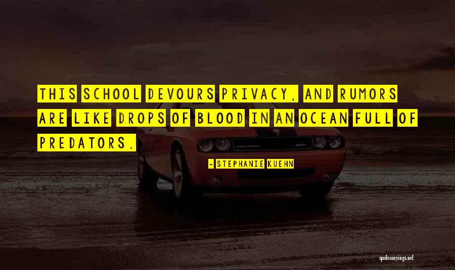Drops In The Ocean Quotes By Stephanie Kuehn Drops In The Ocean Quotes By Stephanie Kuehn