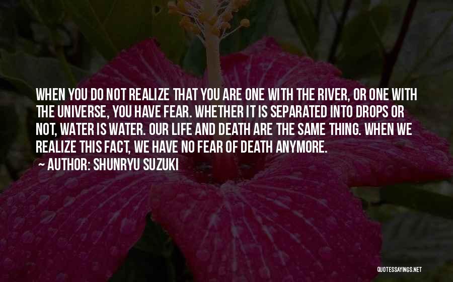 Drops Of Water And Life Quotes By Shunryu Suzuki