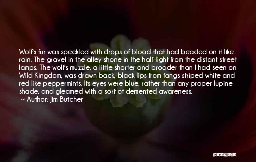 Drops Quotes By Jim Butcher
