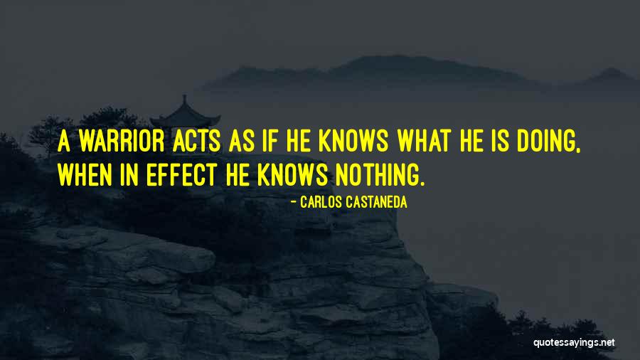 Dror Ladin Quotes By Carlos Castaneda