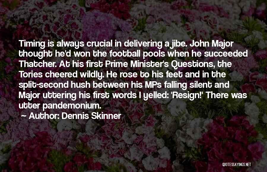 D'rose Quotes By Dennis Skinner