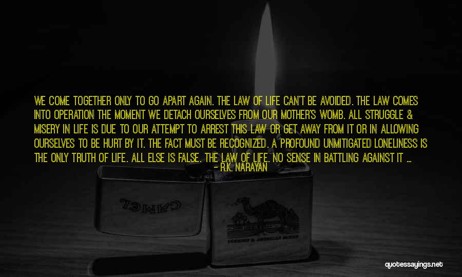 Drosera Homeopathic Remedy Quotes By R.K. Narayan Drosera Homeopathic Remedy Quotes By R.K. Narayan