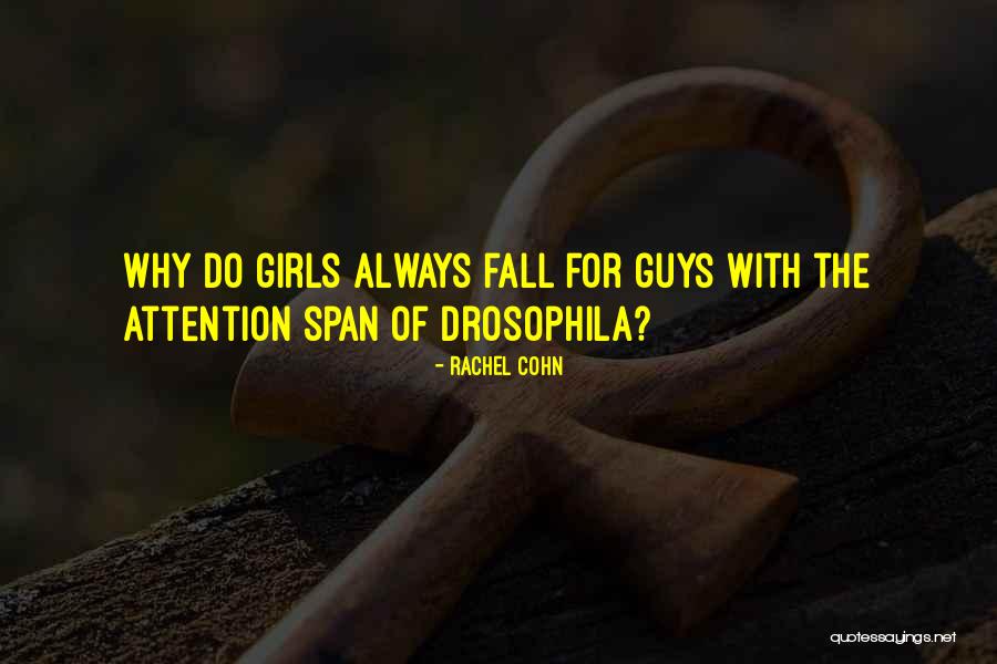 Drosophila Quotes By Rachel Cohn Drosophila Quotes By Rachel Cohn