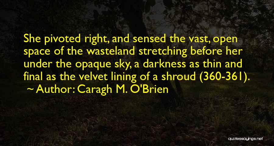 Drossel Keinz Quotes By Caragh M. O'Brien