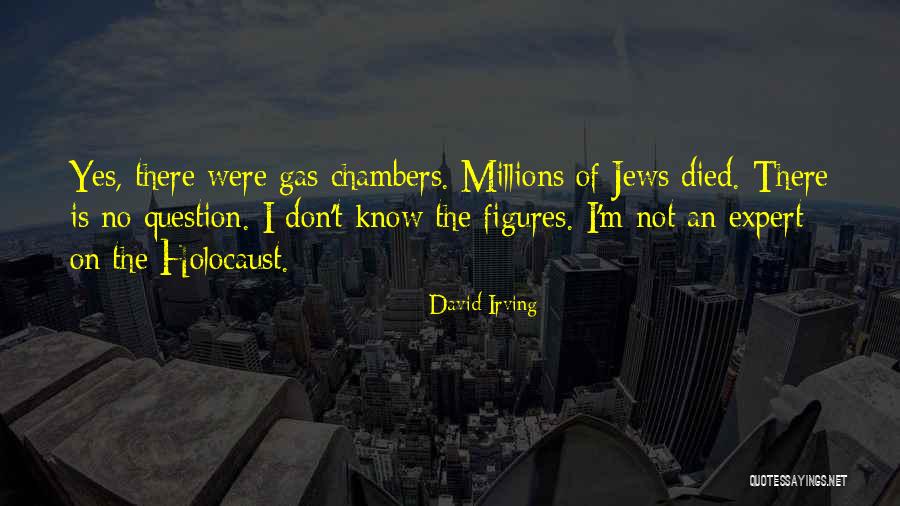 Drotzy Quotes By David Irving Drotzy Quotes By David Irving