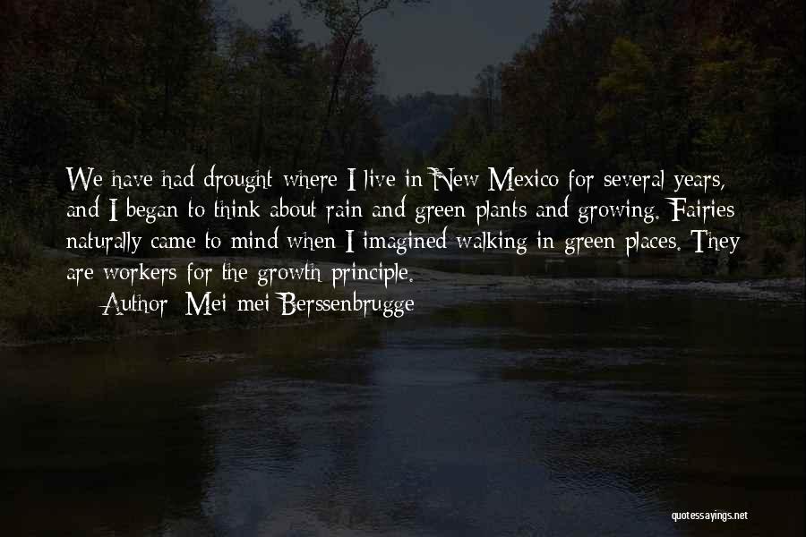 Drought Quotes By Mei-mei Berssenbrugge