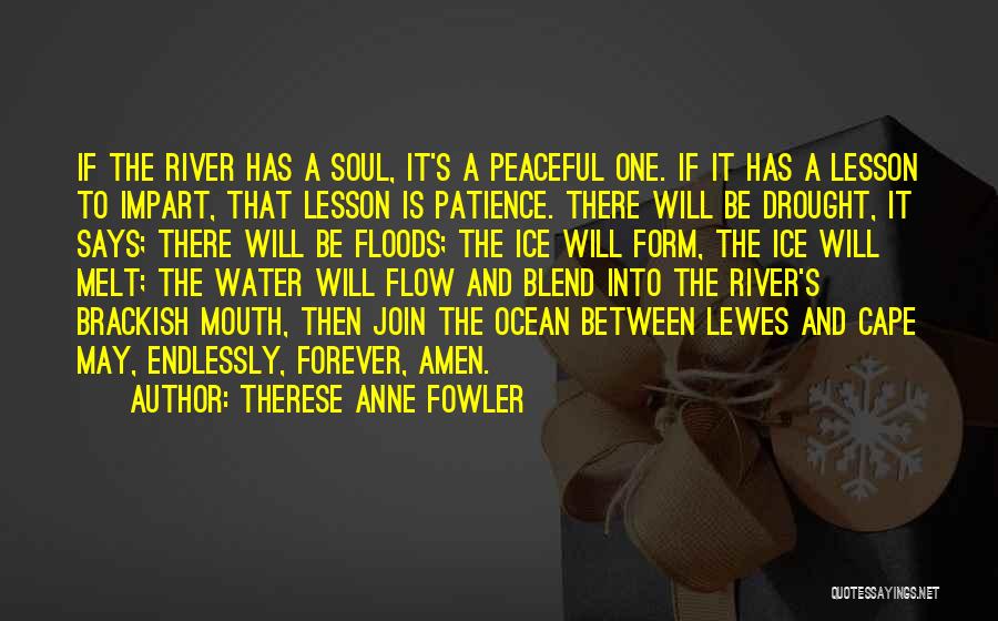 Drought Quotes By Therese Anne Fowler