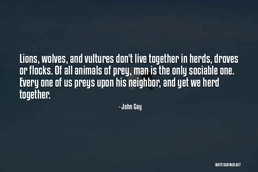 Droves Quotes By John Gay Droves Quotes By John Gay