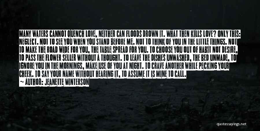 Drown In Love Quotes By Jeanette Winterson