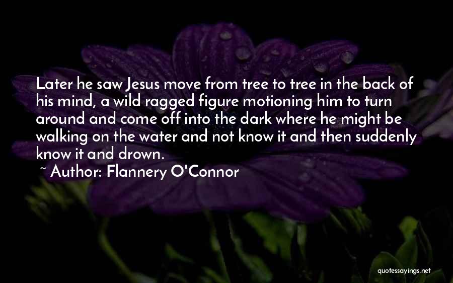 Drown In Water Quotes By Flannery O'Connor